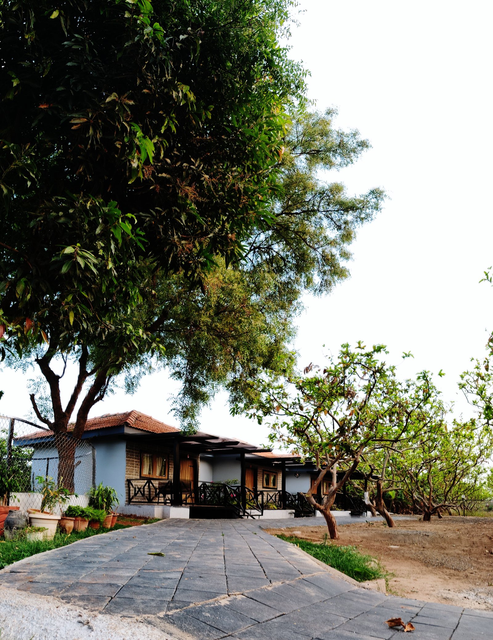 Small terrace transformed into a meaningful retreat